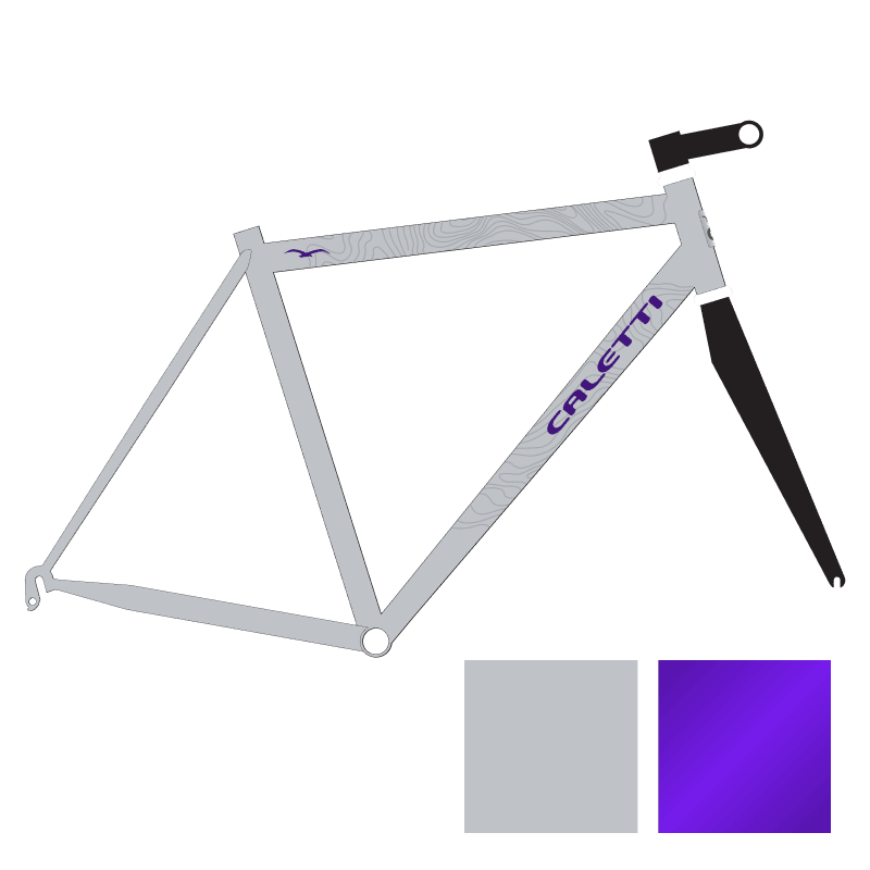 Classic Bike Finish - Topo - Violet